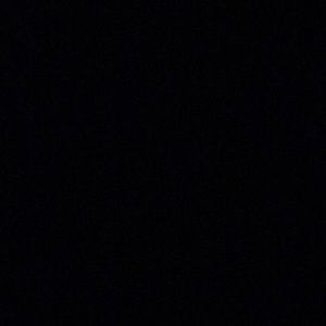 Meet your Posher, Eva